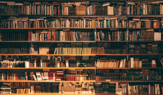 Bookshelves filled with old nonfiction and reference texts.