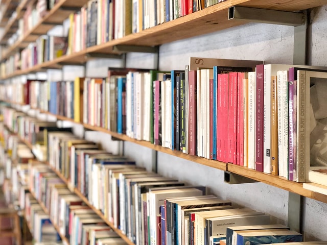 A long row of books on a brown wooden shelf.